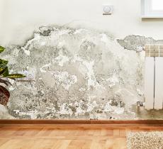 Comment traiter les remontées capillaires ?