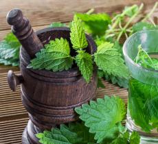 Thym, orties, avoine : 3 soins maison pour nos cheveux !