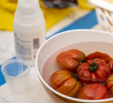 Nos astuces pour utiliser l’eau oxygénée dans la maison !