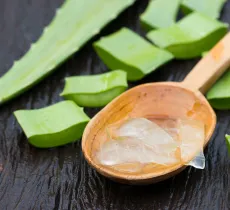 Les bienfaits du gel aloe vera : recettes soins maison