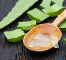 Les bienfaits du gel aloe vera : recettes soins maison