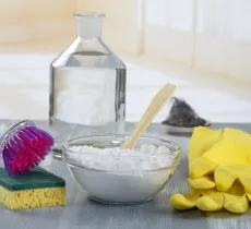 Comment enlever une tache de moisi ?