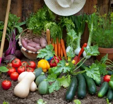 Comment enlever une tache de légume ?