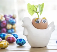 Comment transformer des coquilles d’œuf en jolis pots de fleurs ? notre diy pour pâques !