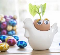 Comment transformer des coquilles d’œuf en jolis pots de fleurs ? notre diy pour pâques !