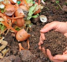VOS ECO-GESTES PRENNENT L’AIR DANS LE JARDIN 