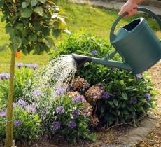 C’est les vacances : vive l’entraide entre voisins !