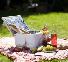 Comment organiser un pique-nique entre voisins ou entre amis ?