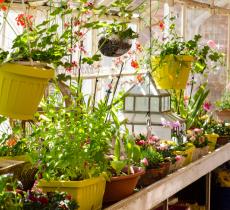 Comment aménager un jardin d’hiver dans son intérieur ? tous nos conseils !