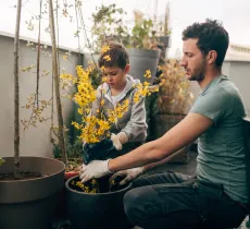 Comment aménager et décorer son balcon avec de jolies jardinières ?