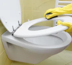 Comment bien nettoyer ses wc ?