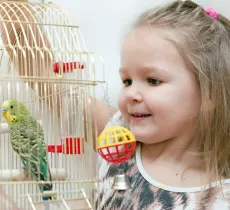 Comment nettoyer les cages de ses oiseaux et rongeurs ?
