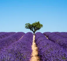 Astuce maison, secret de région : le sud de la France !