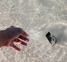 Comment réparer un téléphone portable tombé dans l’eau ?
