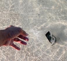 Comment réparer un téléphone portable tombé dans l’eau ?
