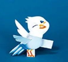 Comment reproduire l’oiseau minidou en origami ? notre diy !