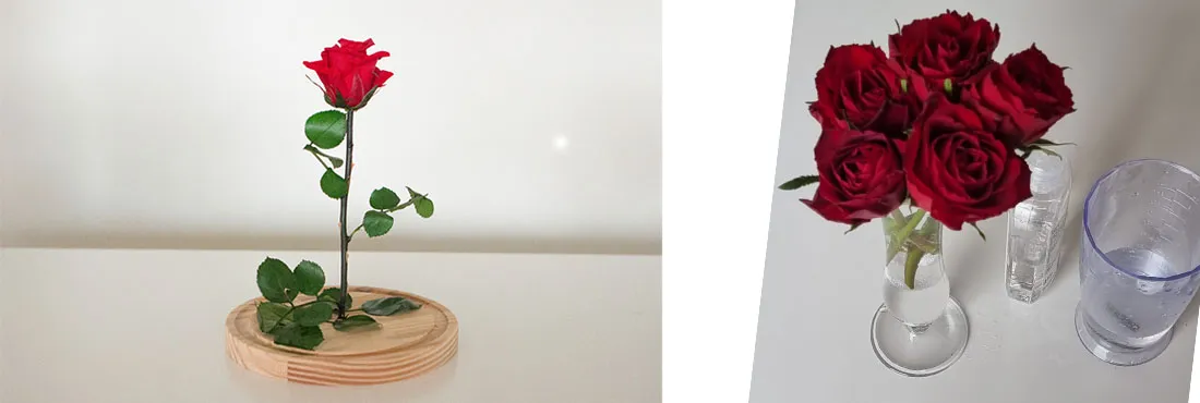 Conseils pour décorer sa maison avec une rose éternelle